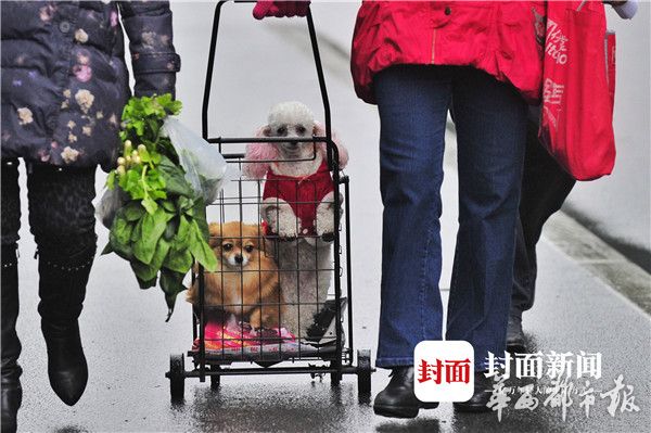 美女的隐私秘?撒尿偷拍