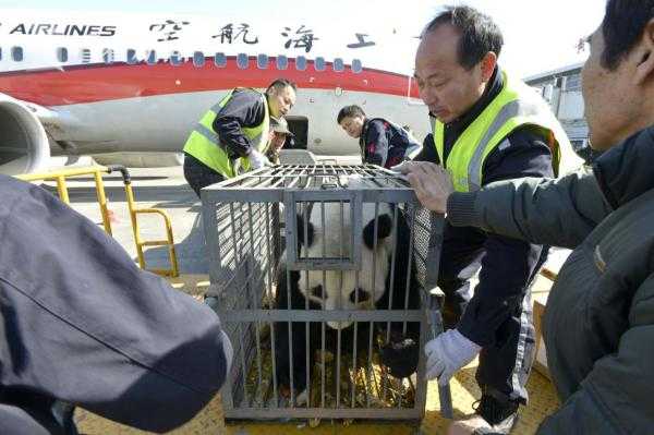 张柏芝54张无删码照片百度云