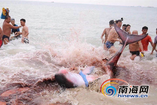我要在线观看台湾漂亮四级片