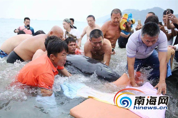 全是肉的高H文〈男男〉