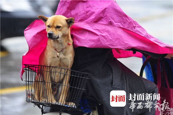 口交