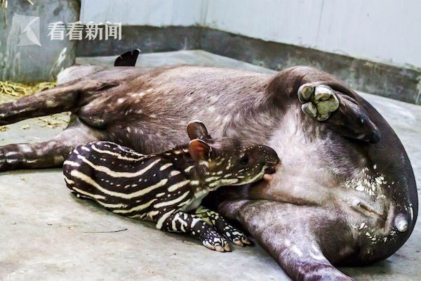 亚洲一区二区精品