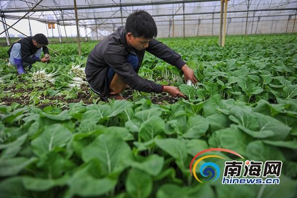 巜波多野结衣厨房系列