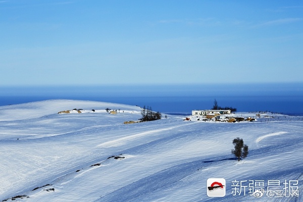 无码人妻波多野吉衣