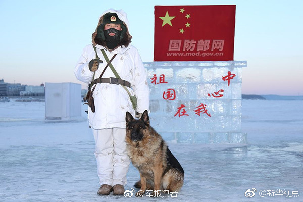 欧美在线三级