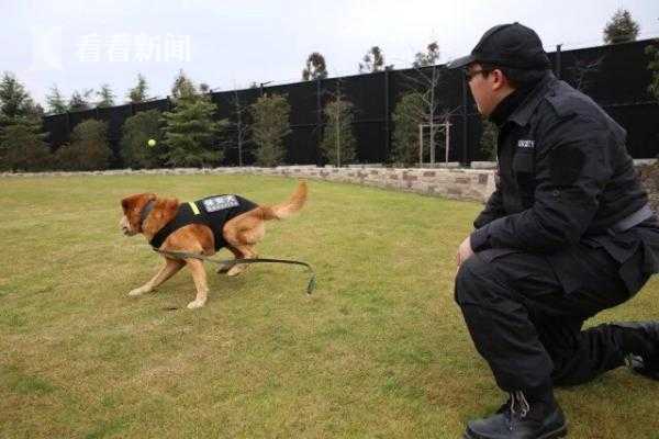 成人 视频 剧情