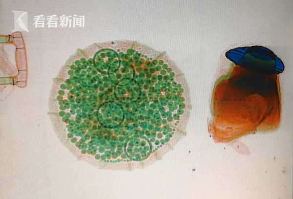 国精产乱子伦