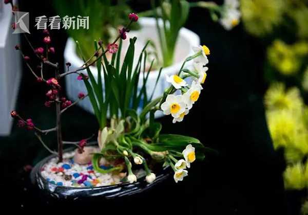 omakmantauzunhayava介绍
