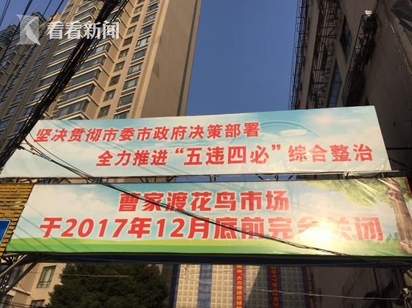 看男女日比免费视频