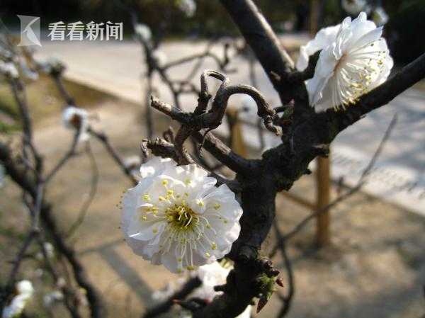 国产精品 - 色哟哟