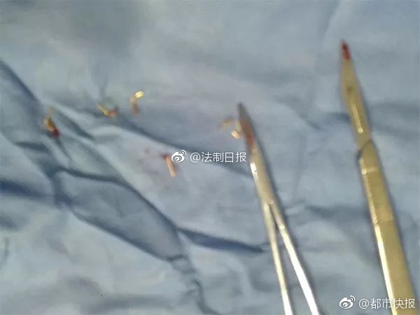 美 胸 性爱