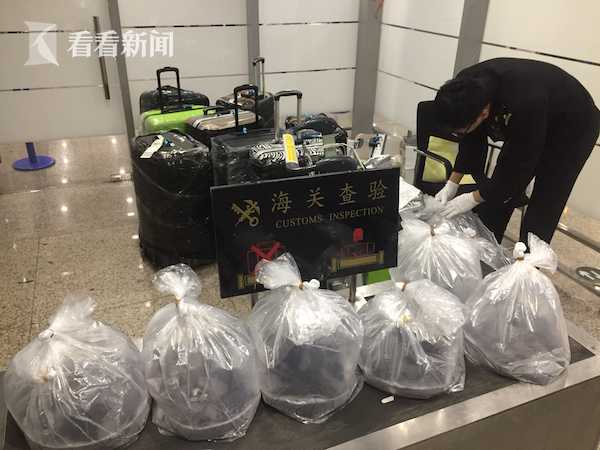 含羞 草 成人 网站