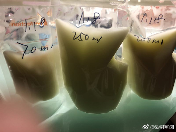 欧美黄色网免费