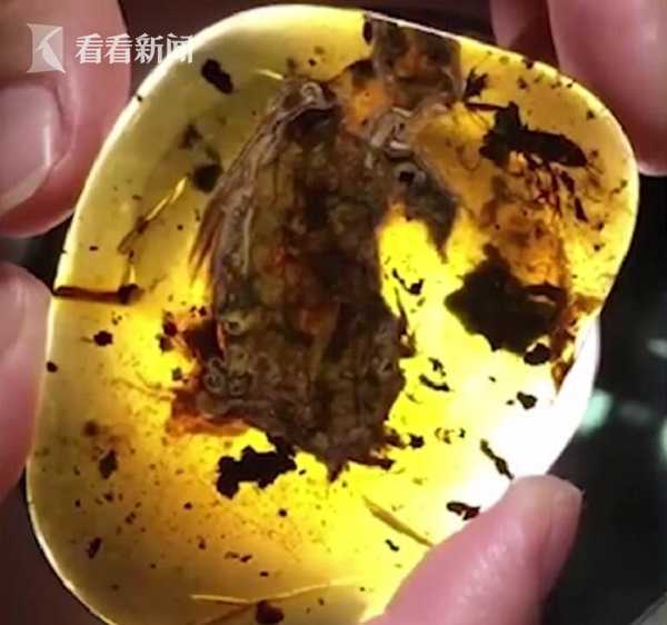 亚洲老妇黄色缴情视频