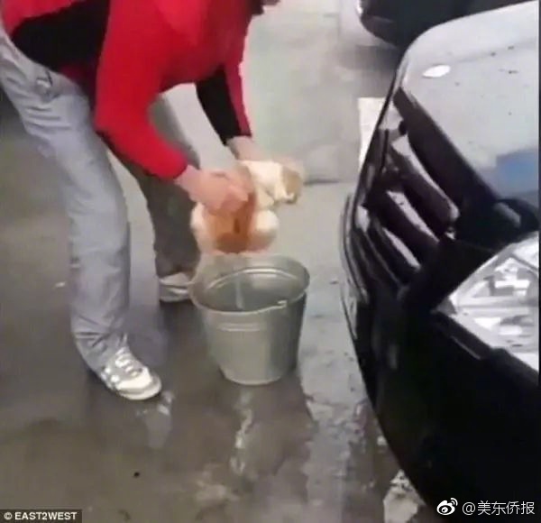 性感熟女