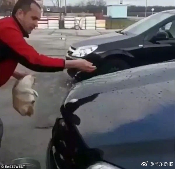 91吃瓜网
