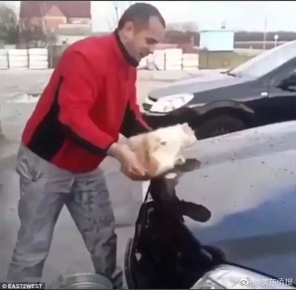 猛男互摸jiji秘 隐私