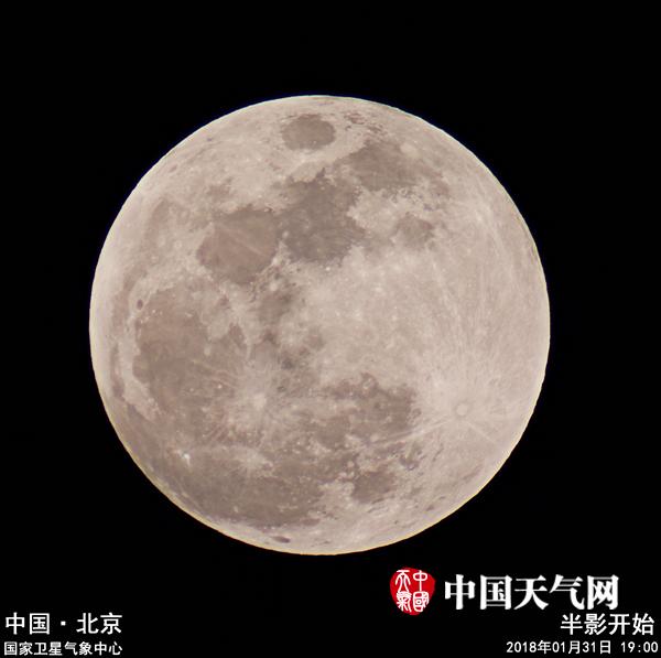 网上 成人 电影