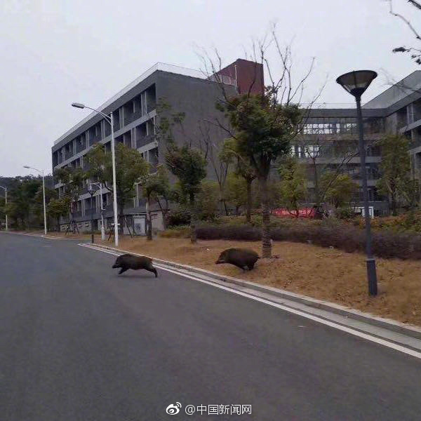 色天堂下载链接