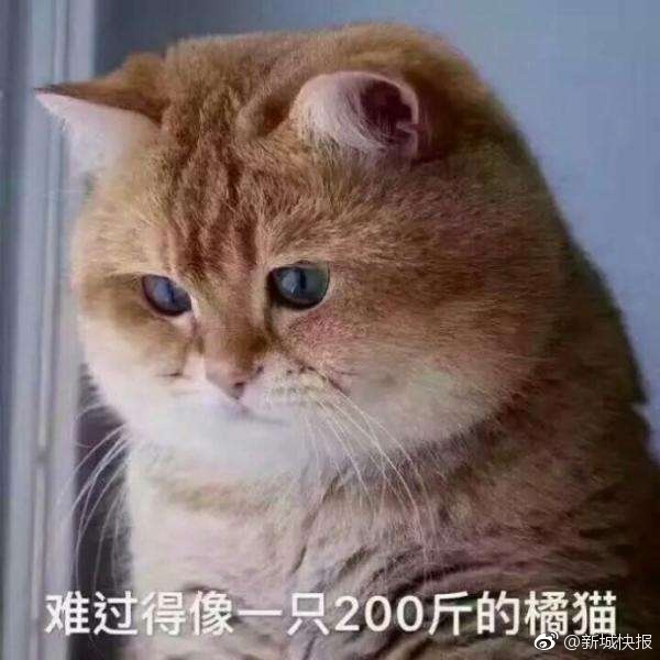 大个日本丰满熟