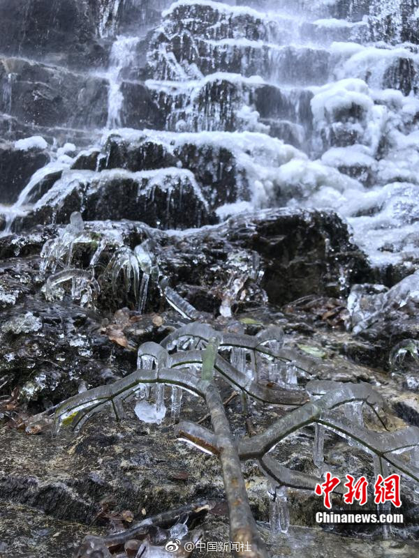 正能量你懂我意思你会回来感谢我的意思是樱花