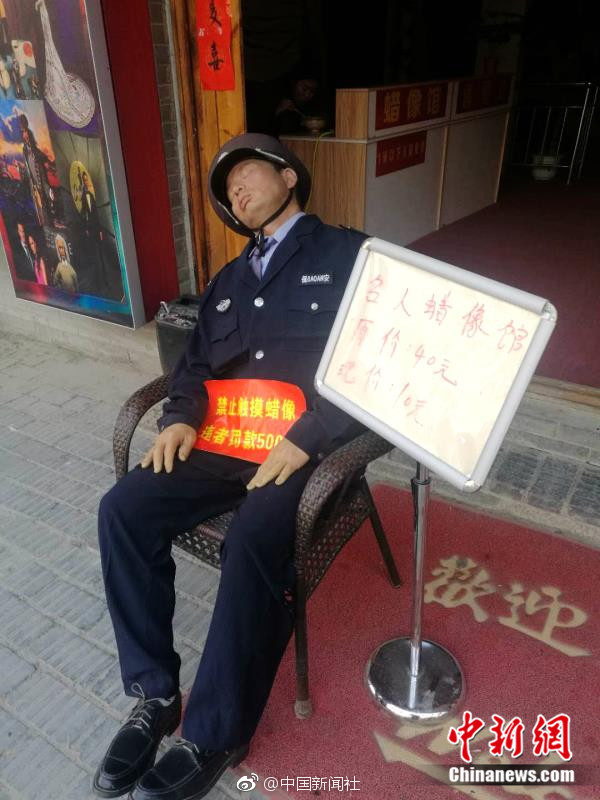 美女的黄色视频