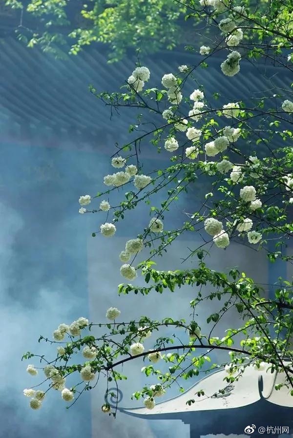 十八禁无码黄色网站