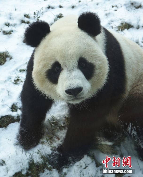 差差差很疼视频30分钟男男软件