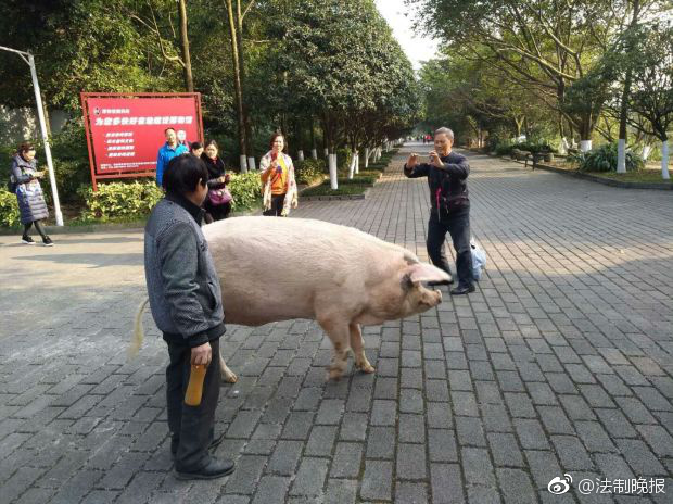 动漫女被   喷水