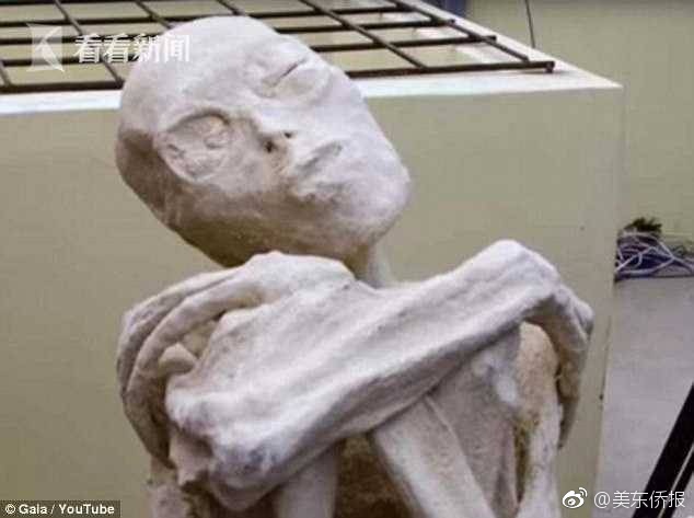 成人 视频 高清 无码