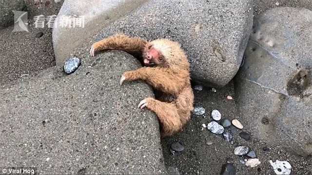日本三级片台湾三级片一区二区三区999