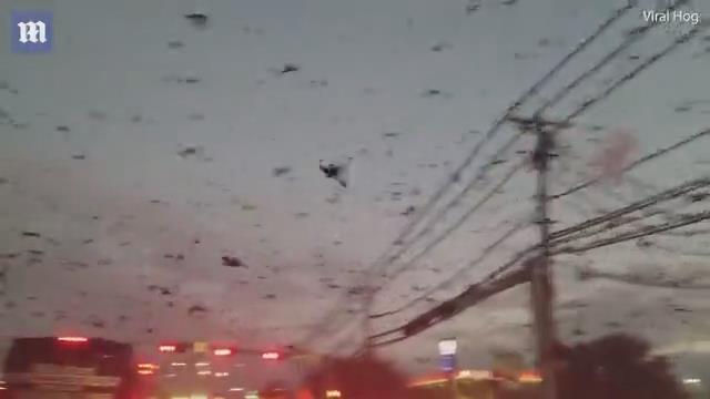 【博】【悦】【分】【分】【彩】【苹】【果】【下】【载】