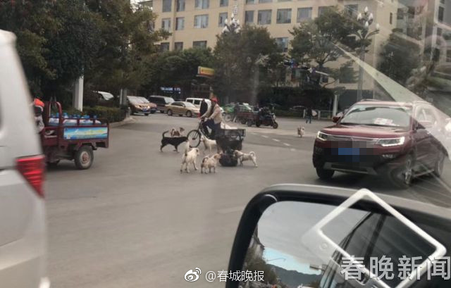 国产69精品久久久久久久久久久久