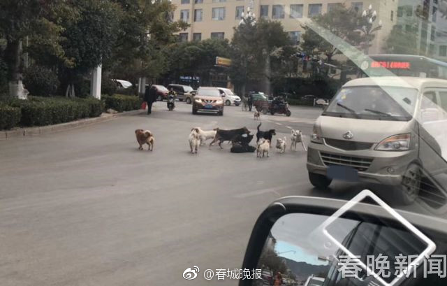 7799视频精品全部免费视频都是热门的吗