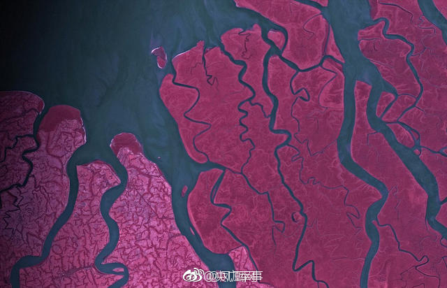 亚洲18 在线天美传媒