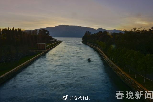 无码黄色在线观看