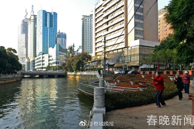 黄色一极片