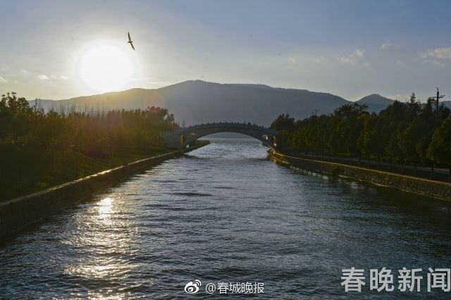 Xzl仙踪林国精产品