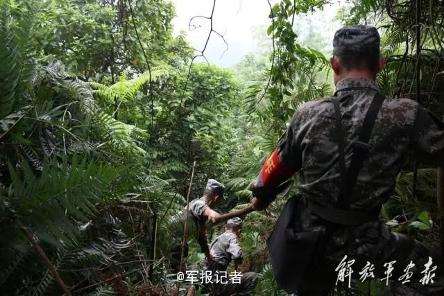 阴桃直播