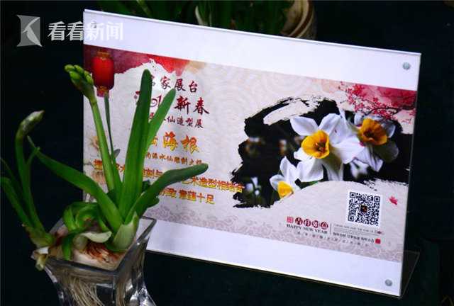 国产成人精品   水