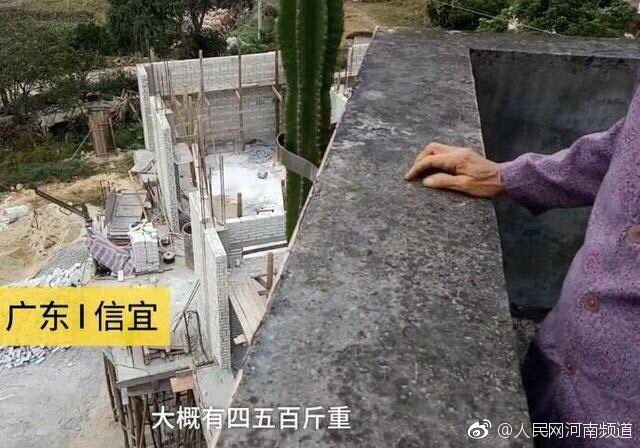 www.污