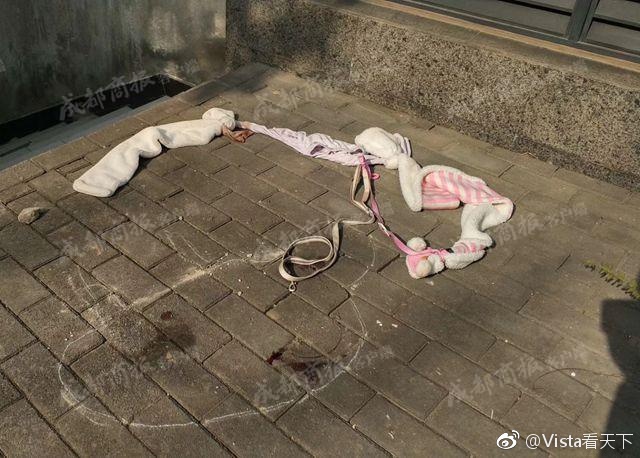 黄色网站区二