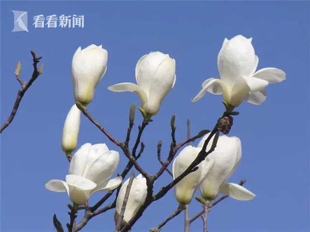 91精品国产一区二区三区香蕉
