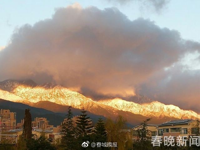 张柏芝黄色视频哪里可以看