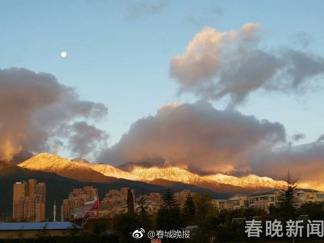 母亲失格