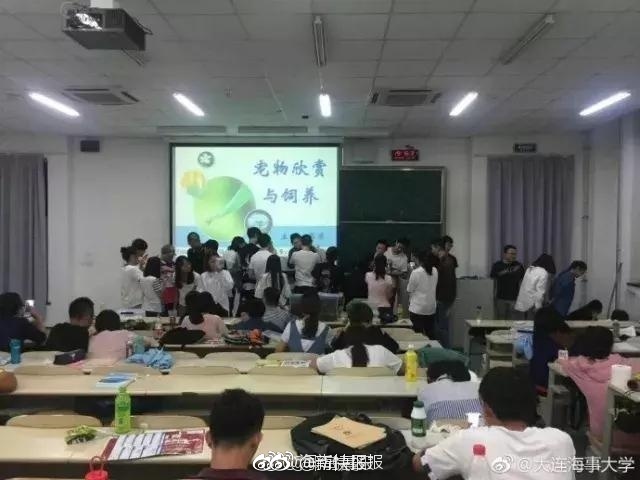 欧美军人巨大粗爽Gay