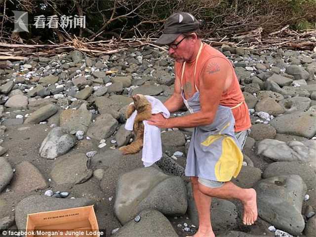 91精品国自产在线观看