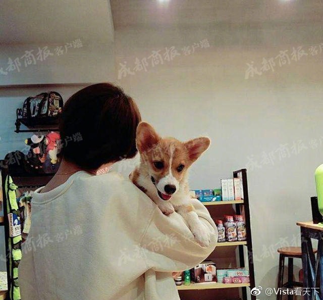 成 人 网 站 免费 图片