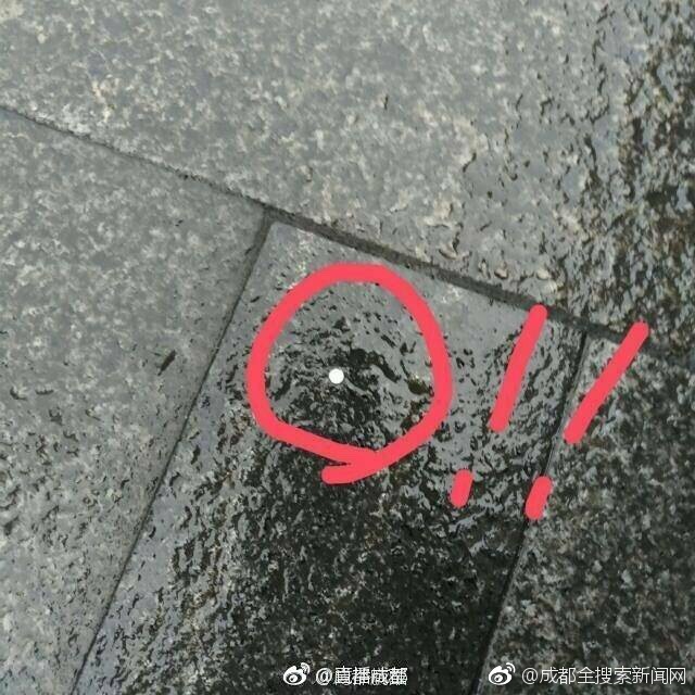 欧美丝袜三级