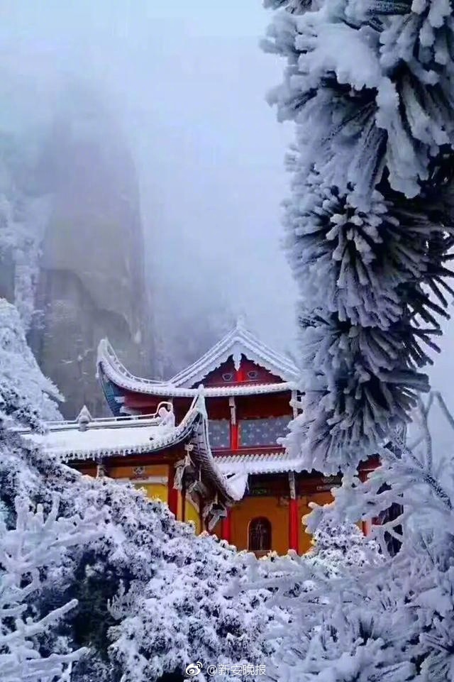 涼森玲夢